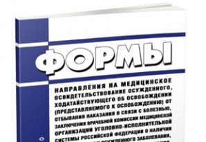Акты Правительства РФ приведены в соответствие с законом о создании следственных изоляторов при ФСБ России