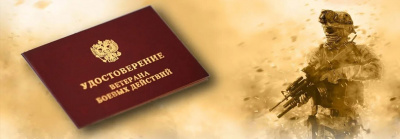 О внесении изменений в статью 1 Закона Нижегородской области "О мерах социальной поддержки инвалидов боевых действий, ветеранов боевых действий, членов их семей и семей погибших (умерших) ветеранов боевых действий