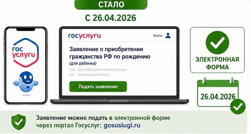 Подать заявление на оформление гражданства ребенка разрешили в электронной форме