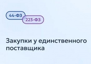 Малые закупки у единственного поставщика в электронном формате