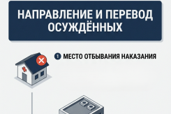 Уточнено регулирование отдельных вопросов, связанных с отбыванием наказания в виде лишения свободы.