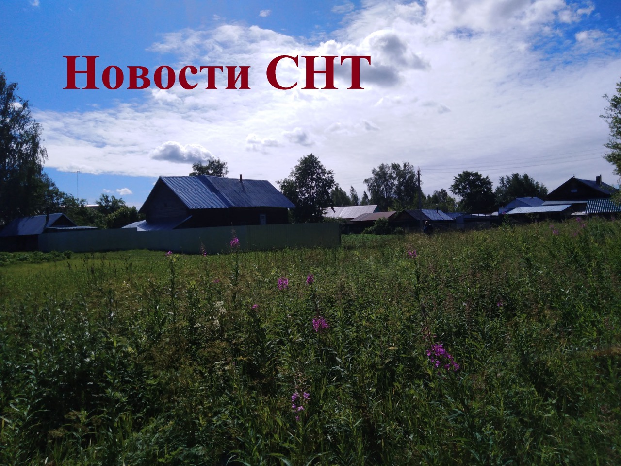 Росреестр разъясняет, как дачники могут оформить долю в общем имуществе СНТ