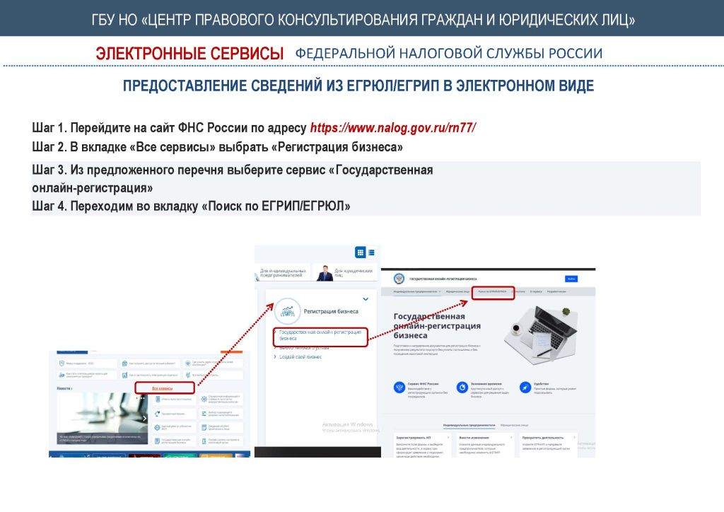ФНС ЕГРЮЛ, ЕГРИП_Страница_1.jpg