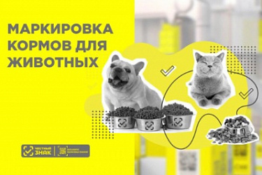 "ВетИС" и "Честный знак": Контроль качества кормов для питомцев