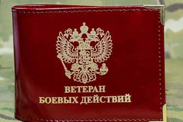Лица, поступившие в добровольческие формирования, относятся к ветеранам боевых действий