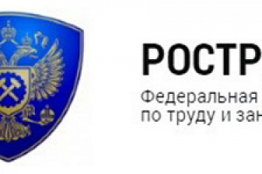 Установлен перечень информации, подлежащей передаче налоговыми органами в межведомственные комиссии по противодействию нелегальной занятости, а также в территориальные органы Роструда