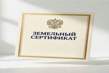 Утверждена форма Земельного сертификата, подтверждающего право участников СВО и членов их семей на получение земельных участков