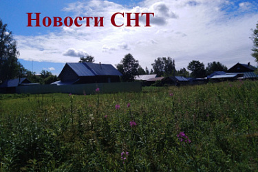 Росреестр разъясняет, как дачники могут оформить долю в общем имуществе СНТ