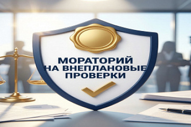 Мораторий на внеплановые проверки многих юридических лиц и ИП: правительство продлило меру на 2024 год