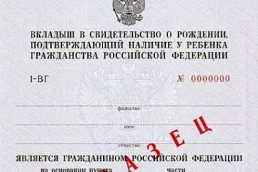 Определен Порядок проставления и аннулирования отметки, подтверждающей наличие у ребенка в возрасте до 14 лет гражданства РФ, а также учета документов, необходимых для ее проставления