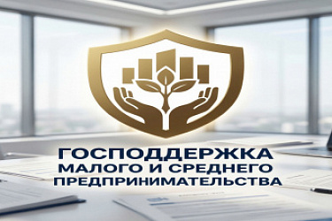 Уточнены некоторые положения актов Правительства по вопросам господдержки малого и среднего предпринимательства
