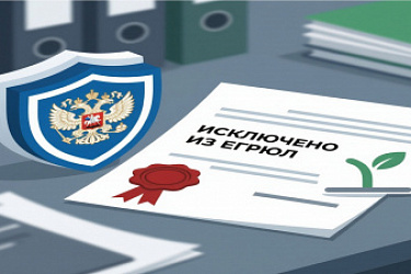 ФНС утвердит форму заявления об исключении юридического лица, отнесенного к субъекту МСП, из ЕГРЮЛ