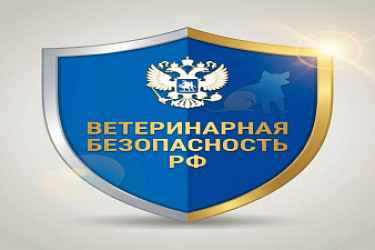 Правительством утвержден план мероприятий по совершенствованию системы ветеринарной безопасности РФ