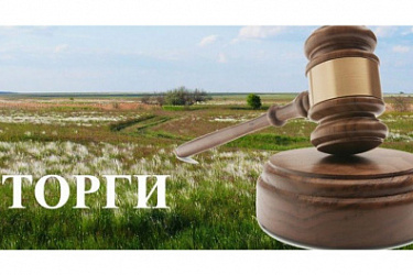 На сайте www.torgi.gov.ru будет размещаться информация о проведении публичных торгов по продаже земельного участка из земель сельскохозяйственного назначения, изъятого по решению суда