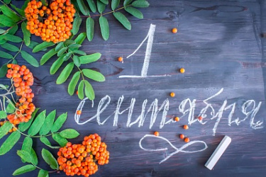 ЦПК организует для всех нижегородцев неделю правовых консультаций