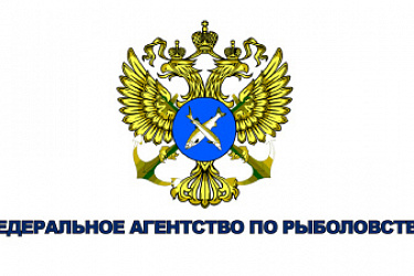 Актуализирован регламент выдачи Росрыболовством разрешений и сертификатов на экспорт, импорт и реэкспорт осетровых видов рыб и продукции из них, включая икру, а также интродукцию из моря образцов осетровых видов рыб