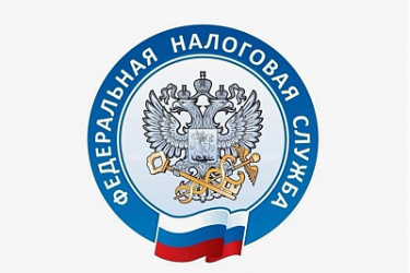 В рамках контрольно-надзорных функций, налоговая служба может инициировать проведение оценки деятельности ИП и организаций