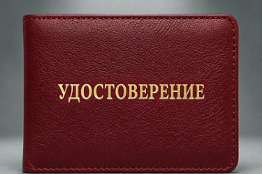 Лица, поступившие в добровольческие формирования, относятся к ветеранам боевых действий