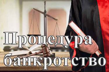 Верховный Суд РФ представил обзор судебной практики разрешения споров о несостоятельности (банкротстве) за 2023 год