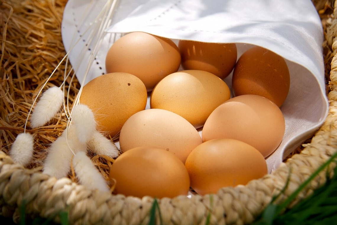 Ввозные пошлины на куриные яйца временно обнулят 