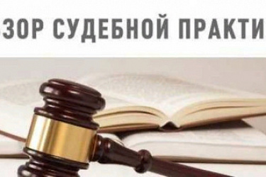 Подготовлен обзор практики межгосударственных органов по защите прав и основных свобод человека № 2
