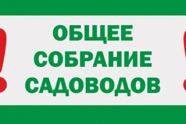 Определен порядок проведения заочного голосования при принятии решений общим собранием членов садоводческого или огороднического некоммерческого товарищества с использованием ЕПГУ