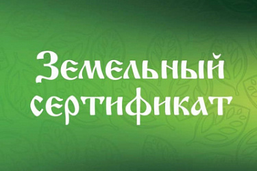 Утверждена форма Земельного сертификата, подтверждающего право участников СВО и членов их семей на получение земельных участков