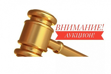Аренда или покупка публичной земли: установят предельный платеж за участие в электронном аукционе